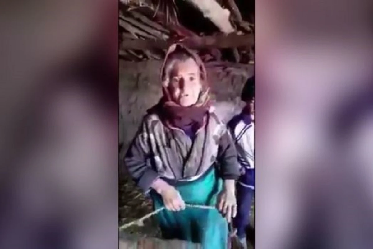 DİN: Qazaxda mal-qaranın oğurlanması araşdırılır - VİDEO