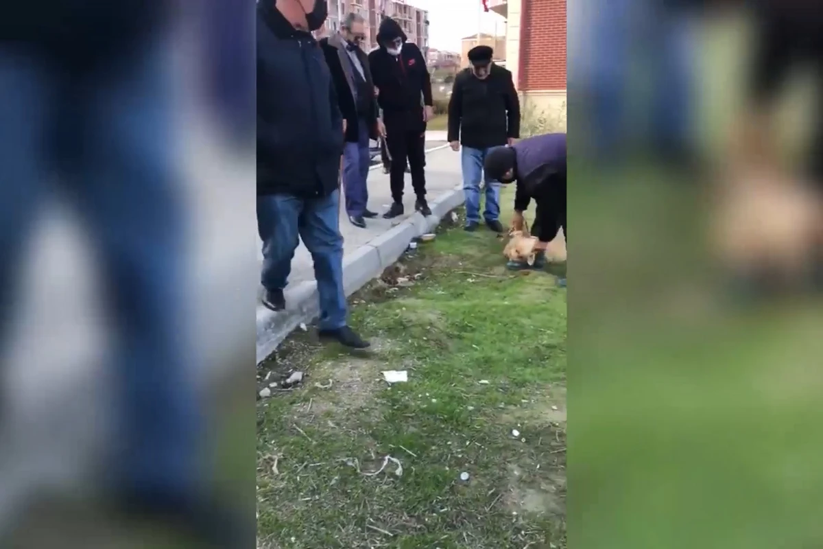 Şahbaz Quliyev evinə qayıtdı - VİDEO