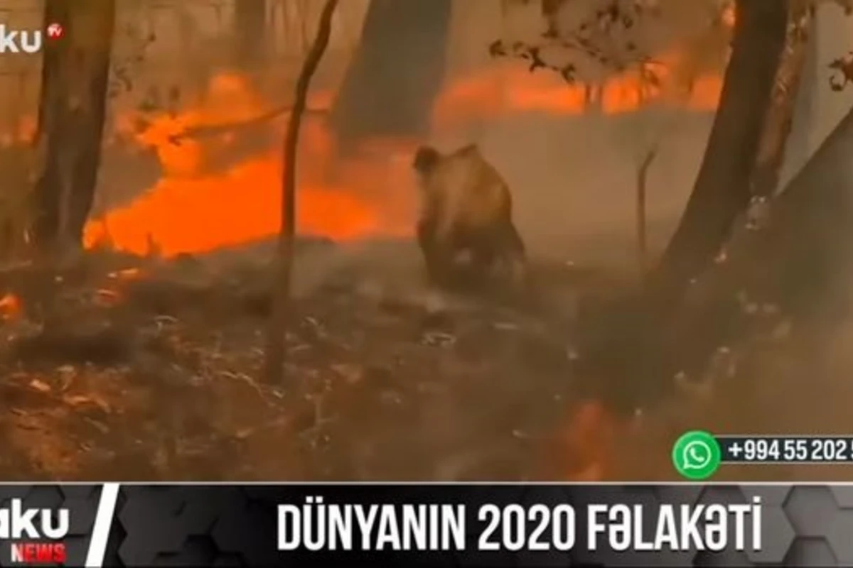 Dünyanın yaddaşında fəlakətlərlə qalan 2020-ci il - VİDEO