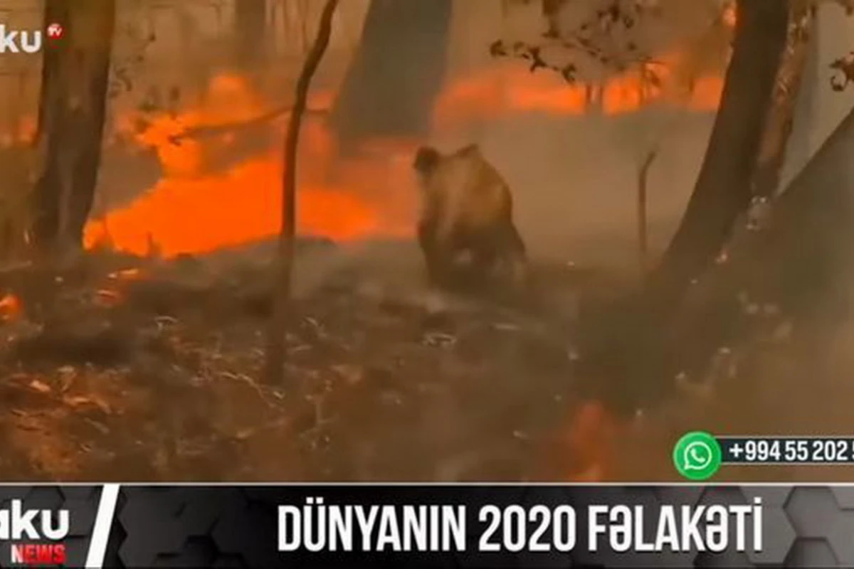 2020 год, запомнившийся своими катастрофами - ВИДЕО