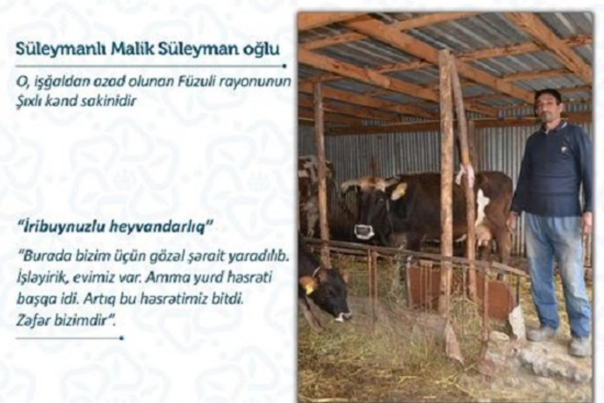 Füzuli sakinləri təsərrüfatlarını doğma yurdlarında daha da genişləndirəcəklər - FOTO
