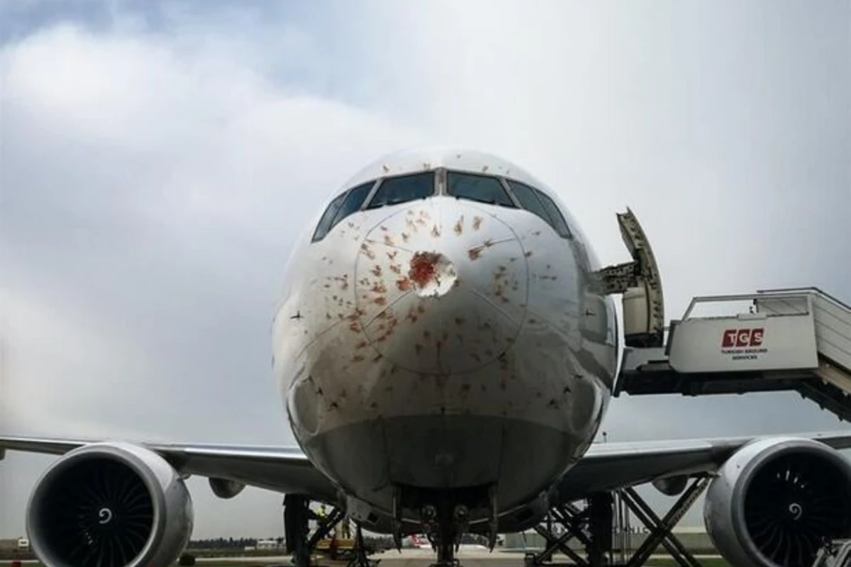 Принадлежащий Turkish Airlines самолет совершил экстренную посадку в Стамбуле - ФОТО