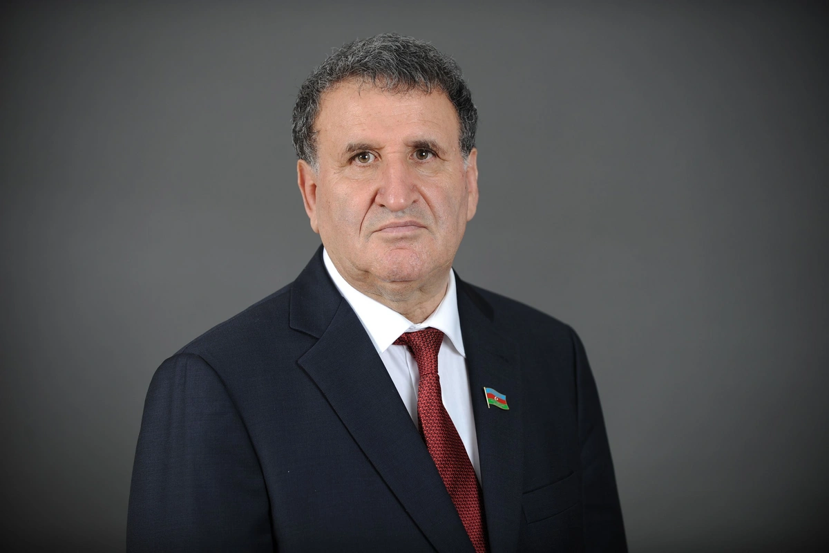 İsa Həbibbəyli vəzifəsindən azad olundu