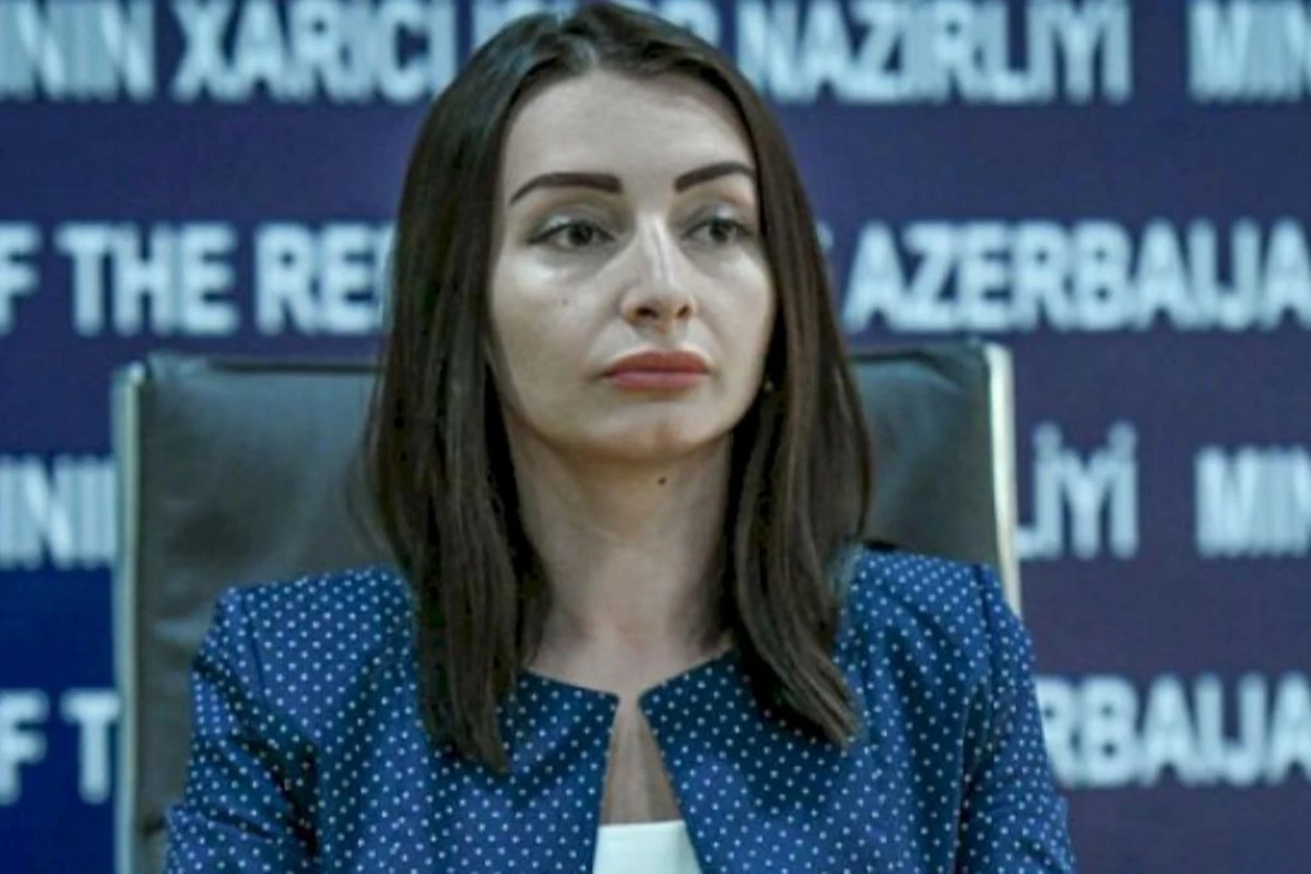 Leyla Abdullayeva: “Ermənistan beynəlxalq məhkəmələr qarşısında cavab verməlidir” Leyla Abdullayeva: “Ermənistan beynəlxalq məhkəmələr qarşısında cavab verməlidir”