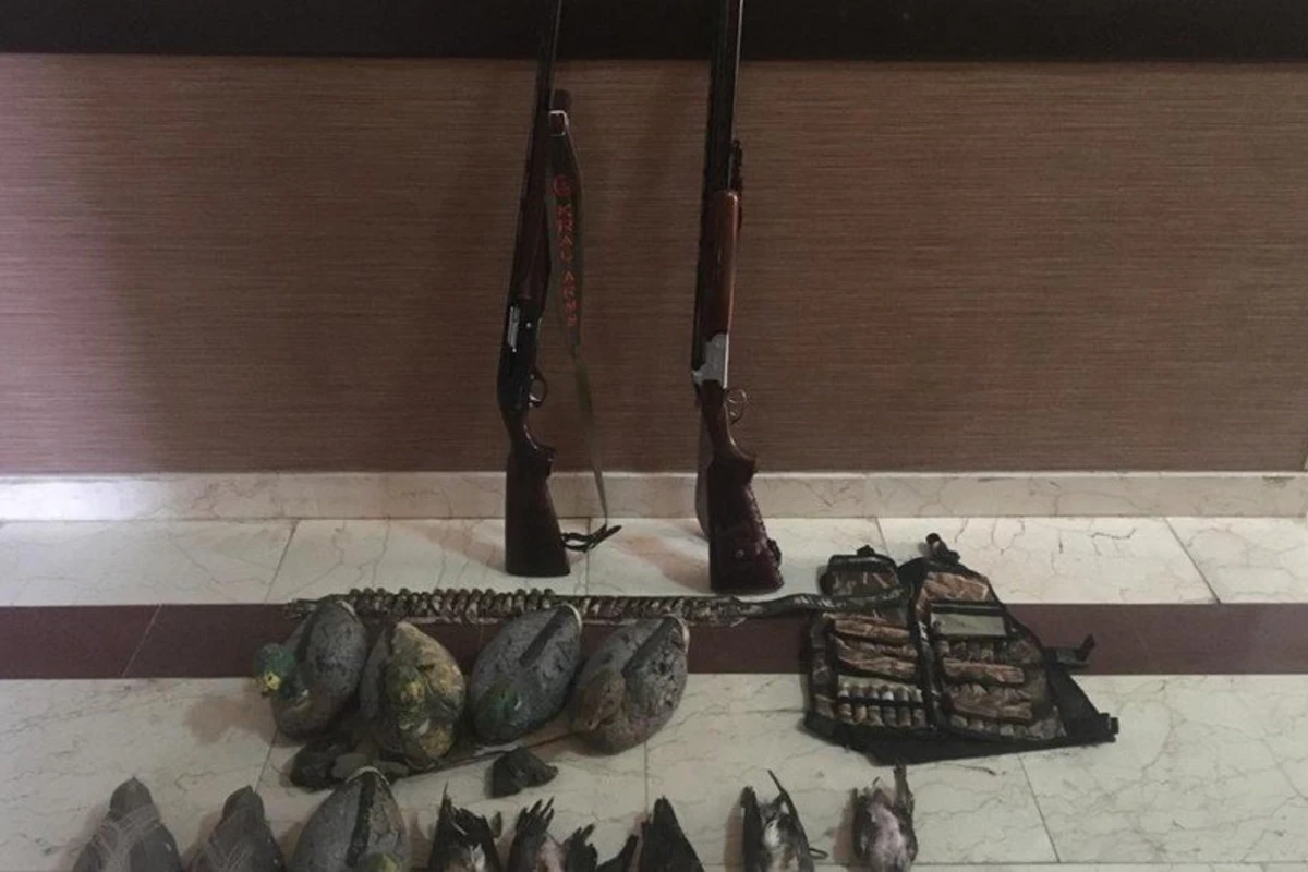Hacıqabulda qanunsuz ov edən şəxslər saxlanıldı