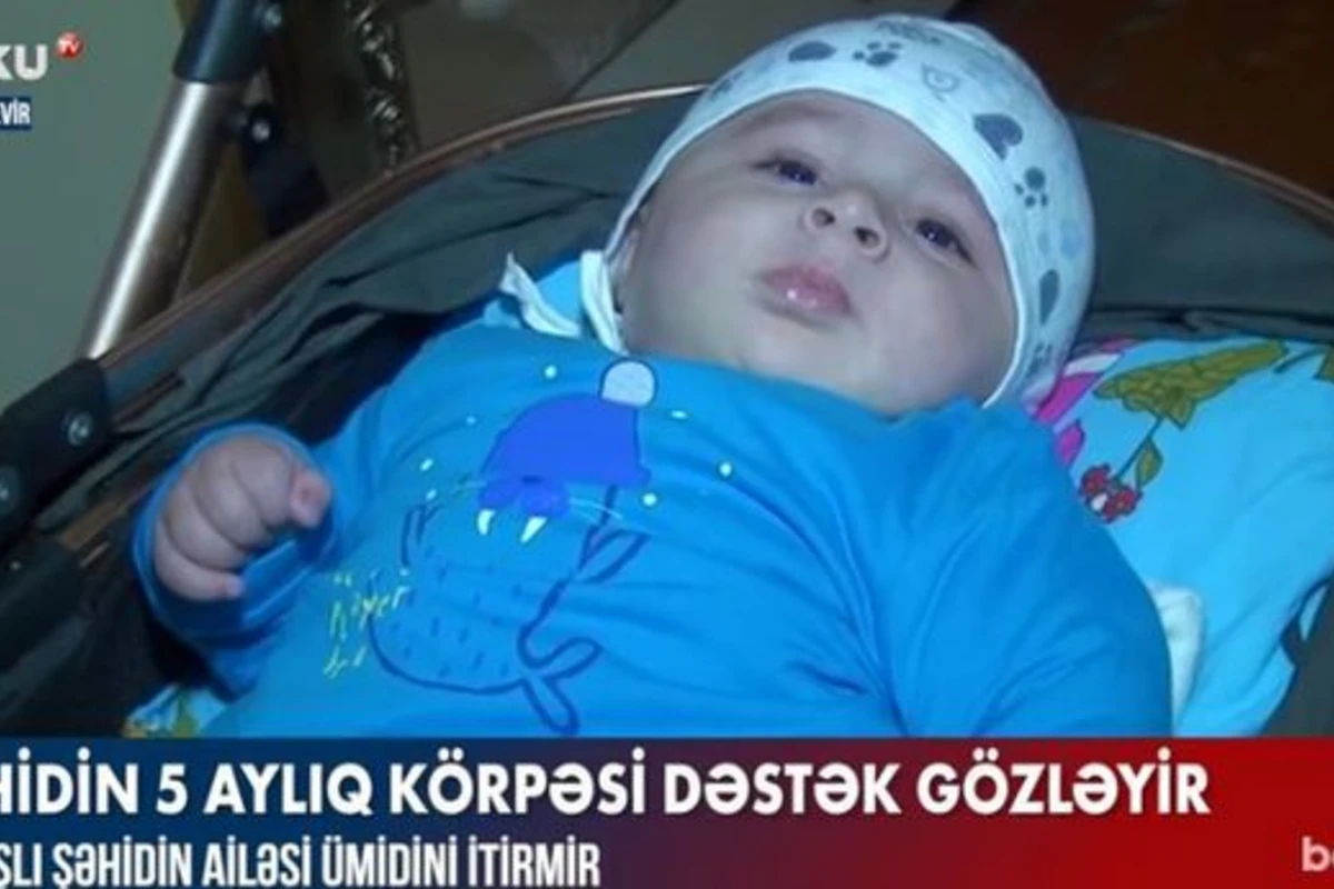 Şəhidin beş aylıq körpəsi dəstək gözləyir - VİDEO