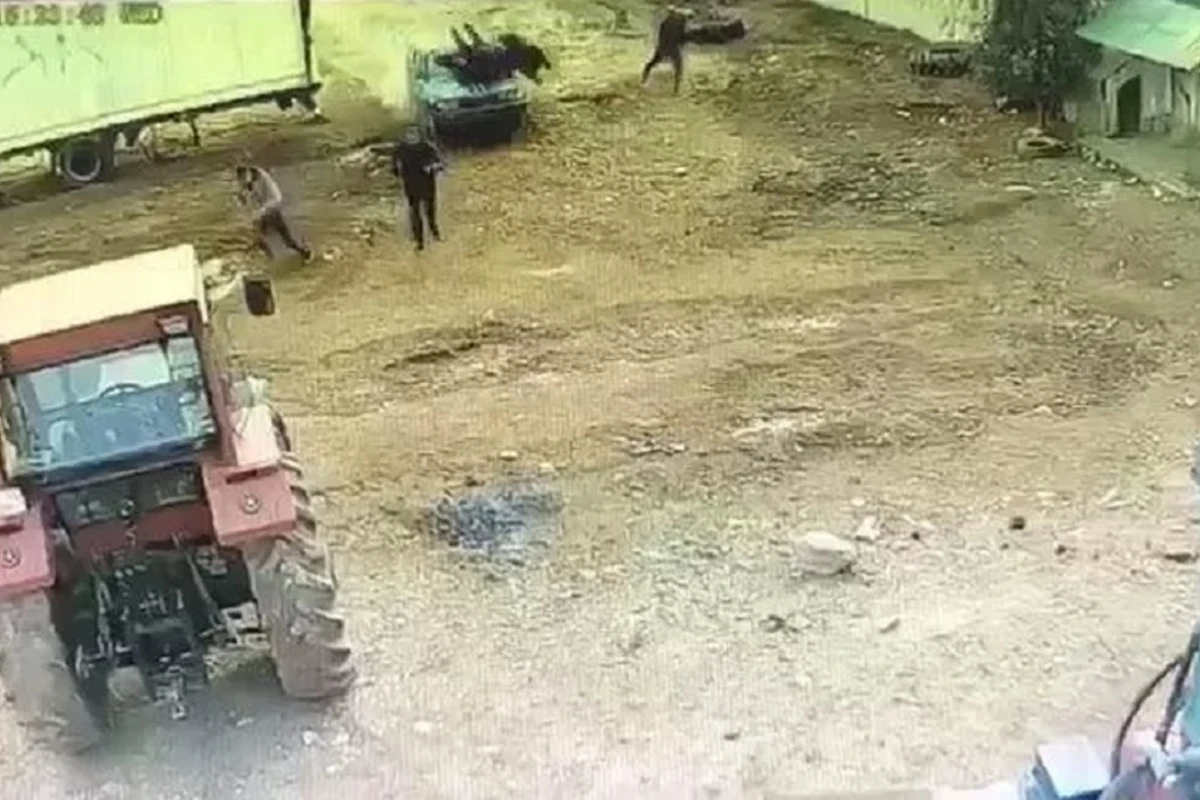 Türkiyədə qohumlar arasında dəhşətli dava kameralara düşdü - VİDEO Türkiyədə qohumlar arasında dəhşətli dava kameralara düşdü - VİDEO