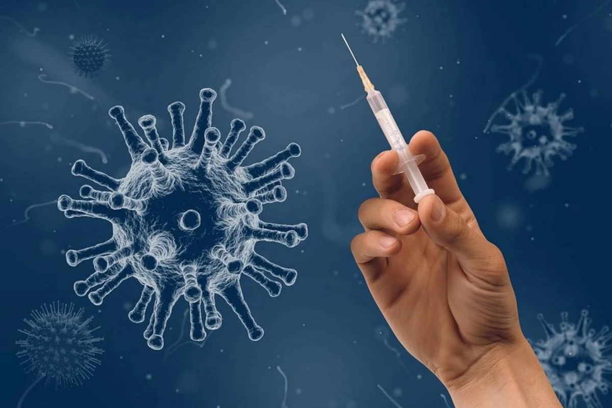 ВОЗ предупредила о возможности пандемии из-за вируса Nipah