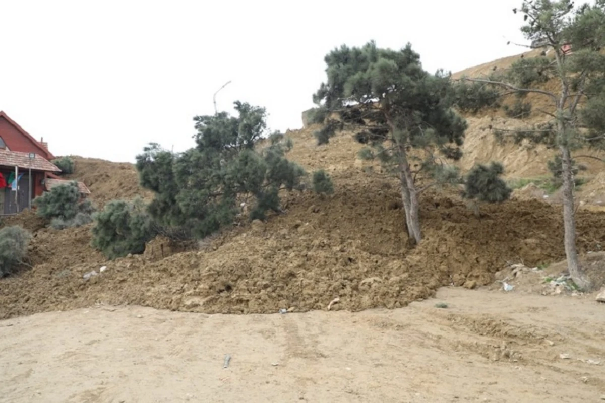 İcra başçısı Badamdardakı sürüşmədən danışdı
