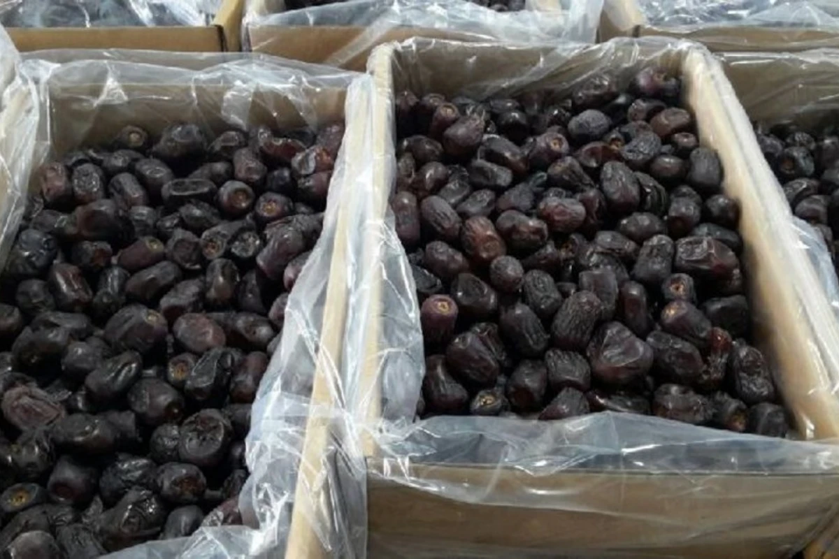 В сушеной хурме, привезенной из Ирака в Азербайджан, обнаружена плесень