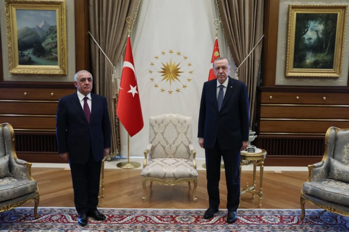 Ərdoğan Əli Əsədovu qəbul edib
