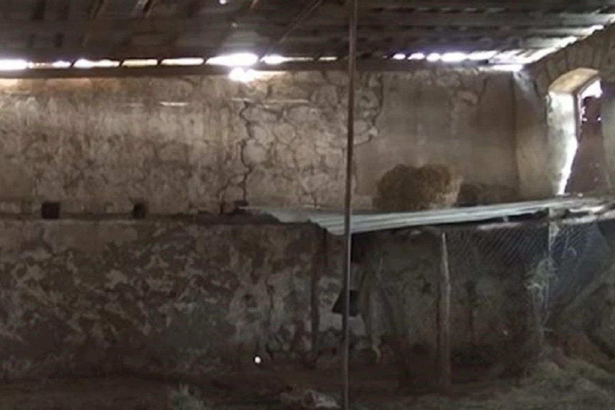 Üzərində erməni vandalizminin izləri olan məscid - VİDEO
