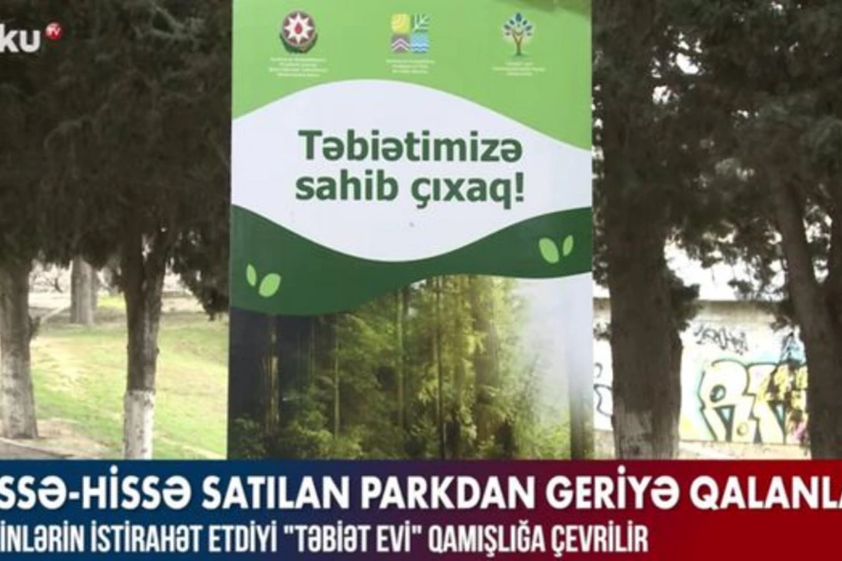 Hissə-hissə satılan parkdan geriyə qalanlar – VİDEO