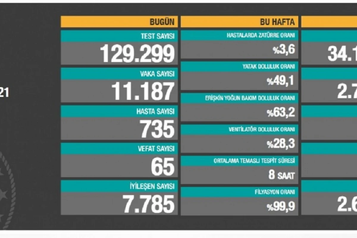 Türkiyədə 30 minədək insan koronavirusdan həyatını itirib