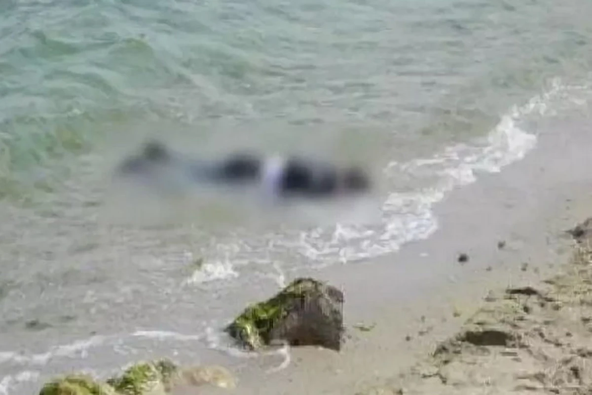 В Баку на берегу моря найдено тело пропавшей женщины