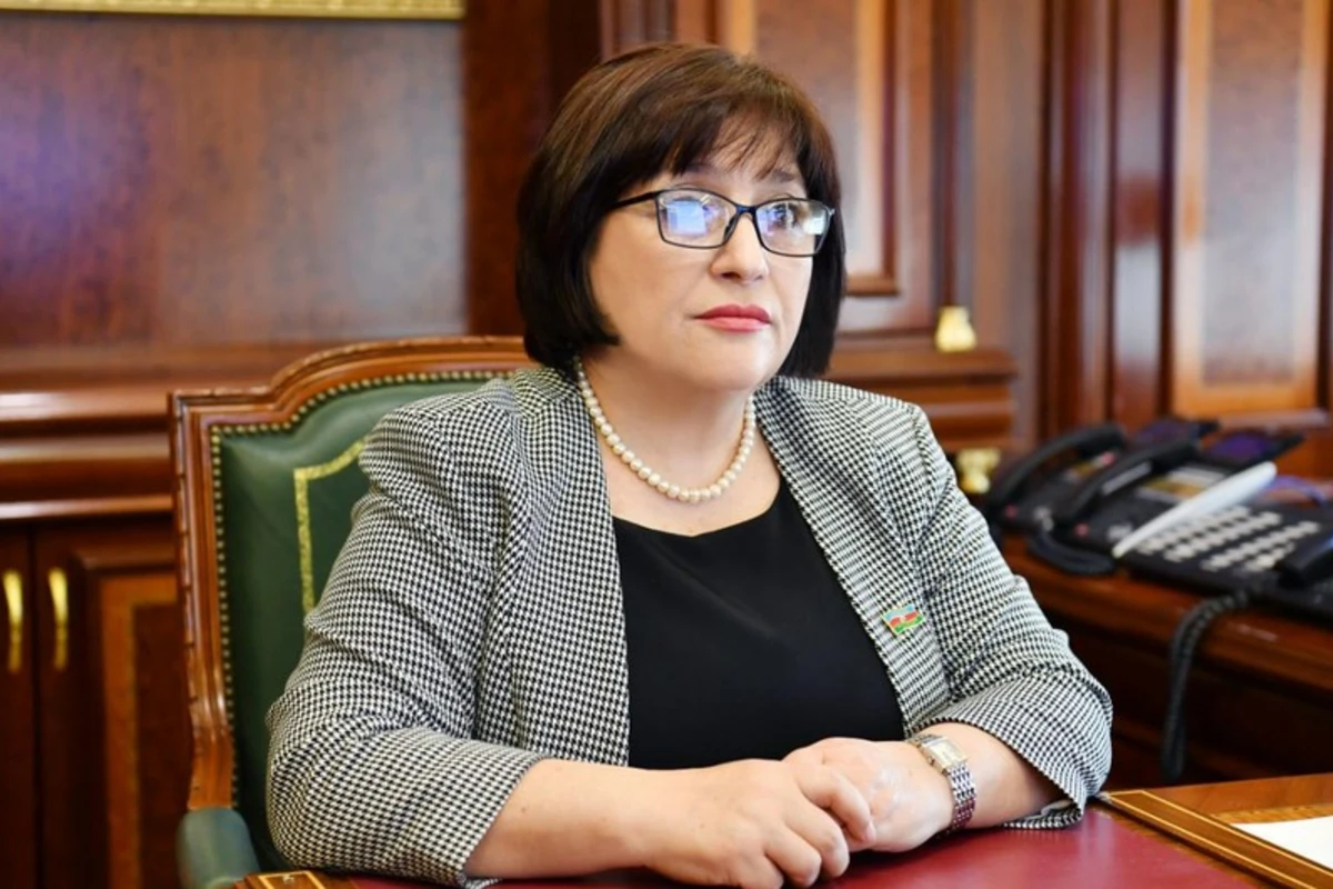 Milli Məclisin sədri müxalif deputatların fəaliyyətindən danışıb