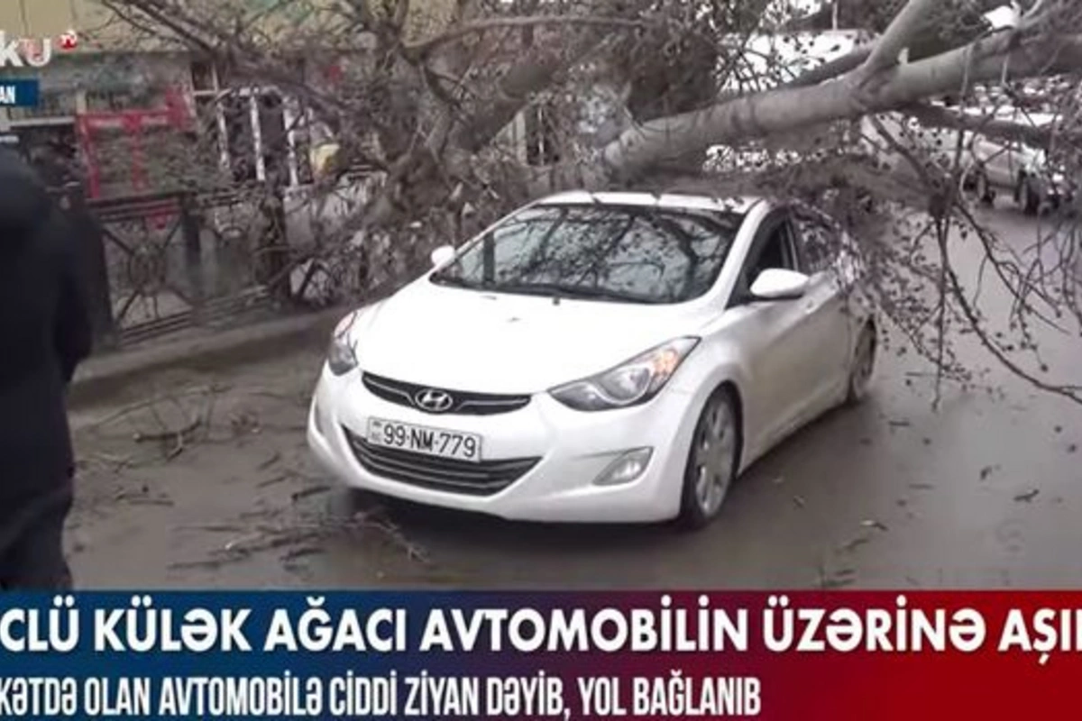 Güclü külək ağacı avtomobilin üzərinə aşırdı, ciddi ziyan dəydi – VİDEO