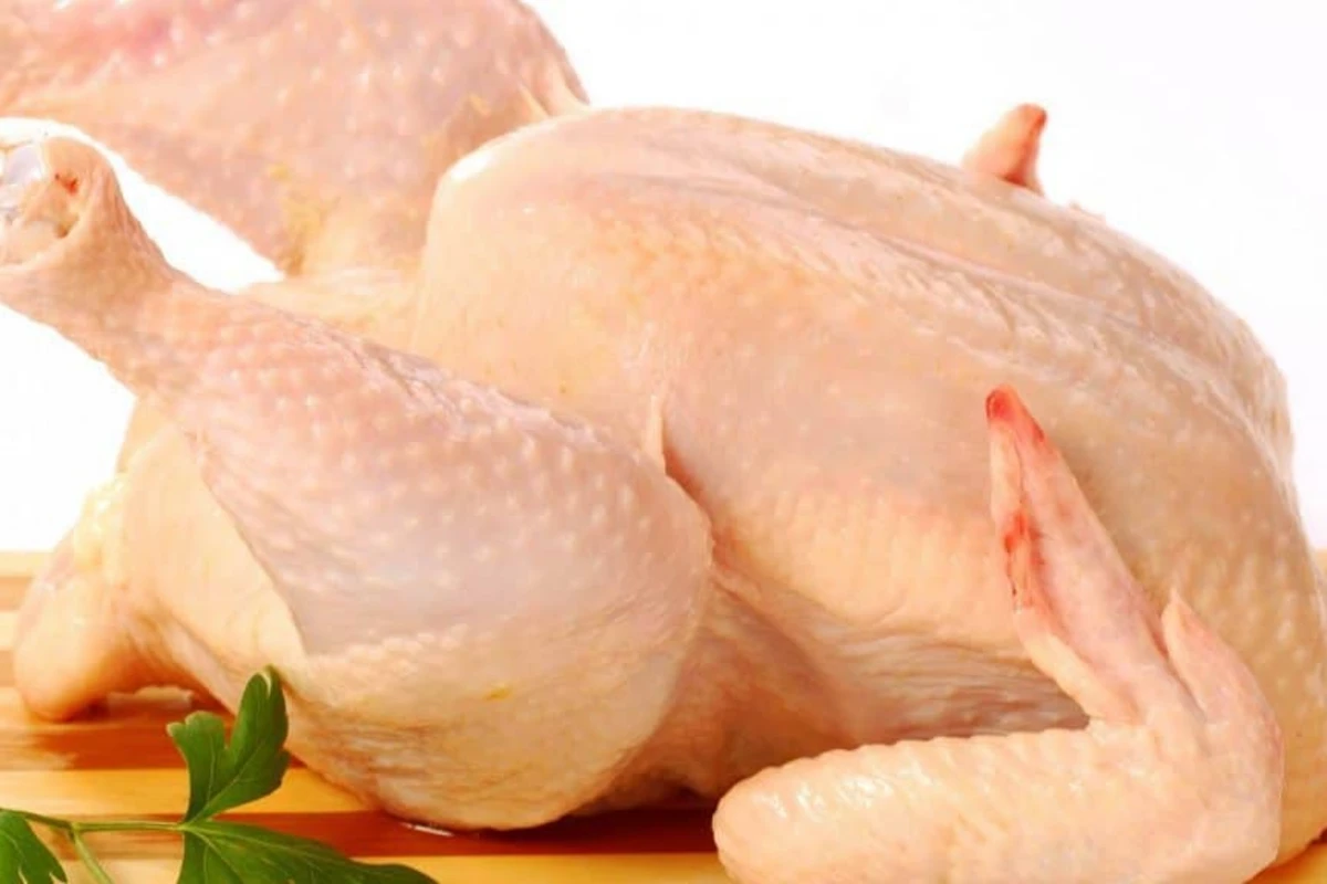 Belarusdan Azərbaycana gətirilən toyuqlarda salmonella aşkarlanıb