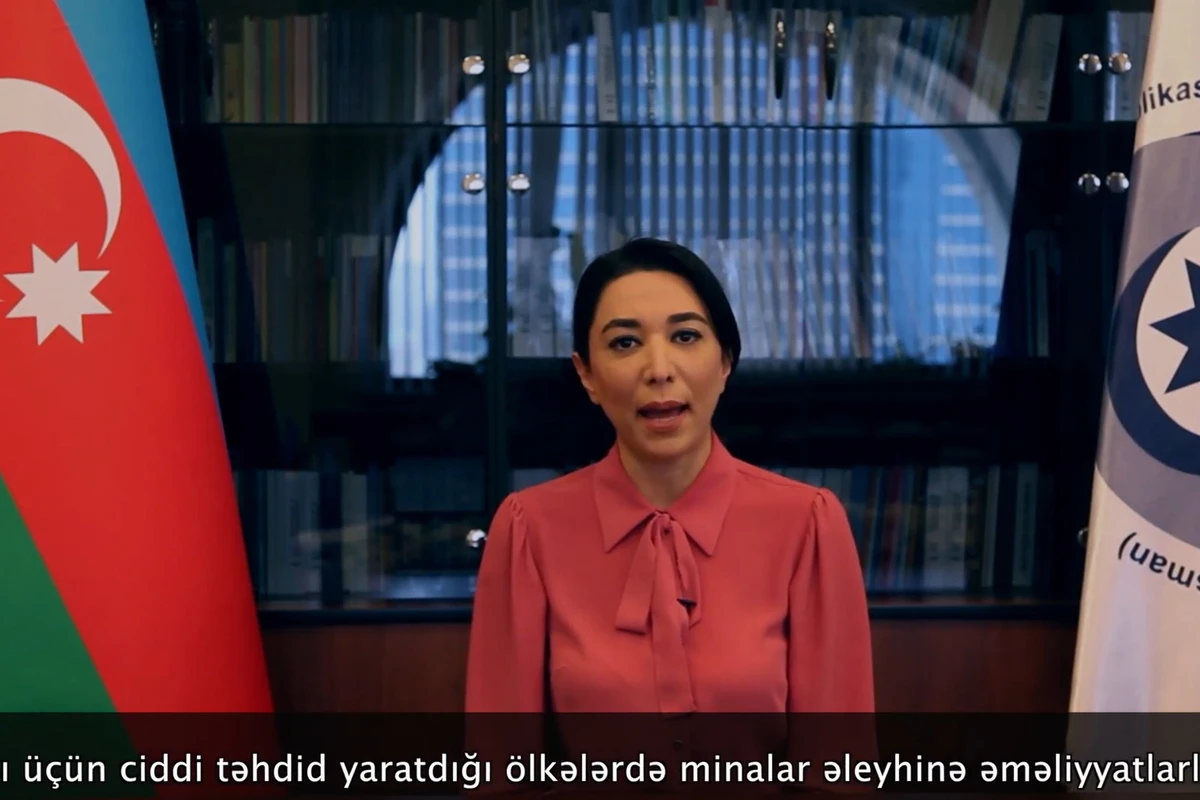 Ombudsman beynəlxalq ictimaiyyəti Ermənistanı qınamağa çağırıb - VİDEO