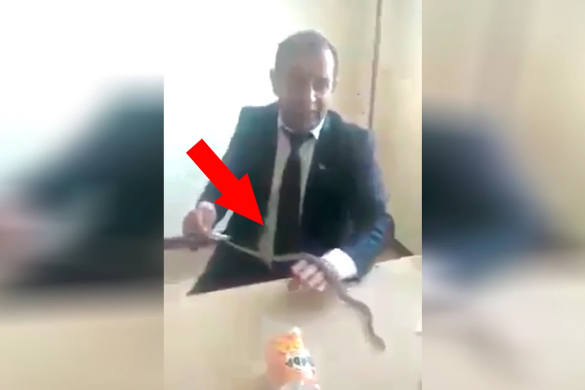 Azərbaycanda müəllim sinfə ilan gətirdi - VİDEO