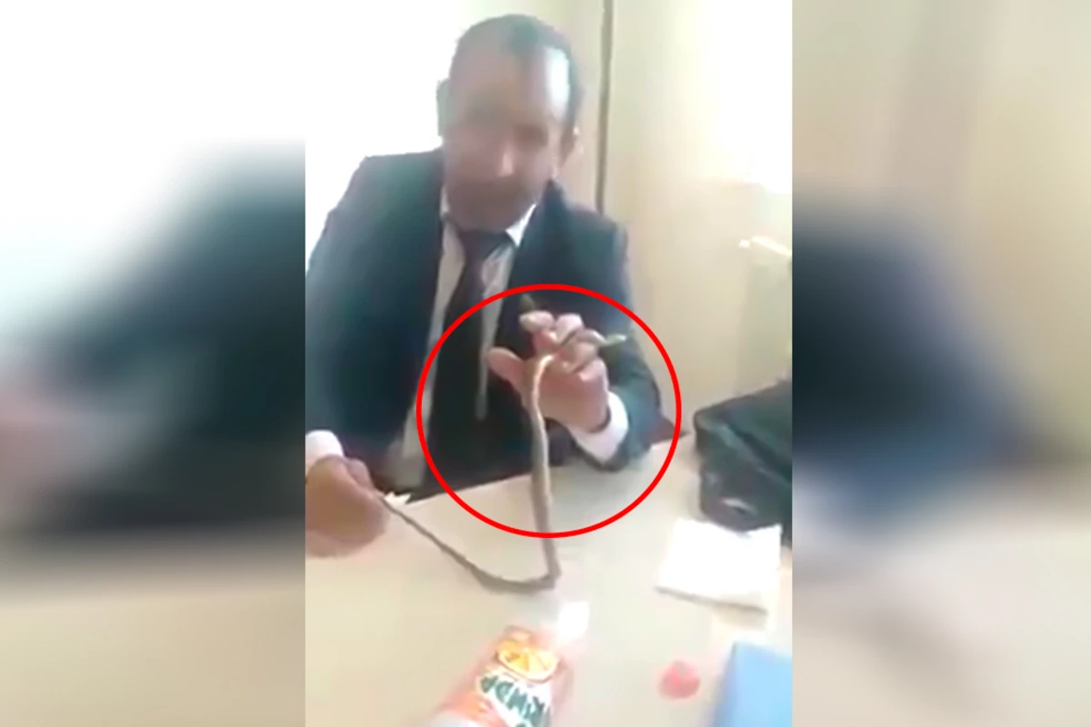 В Азербайджане учитель принес в школу змею - ВИДЕО