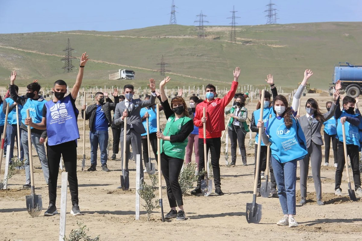 Bakıda “Yaşıl Marafon” layihəsi çərçivəsində ağacəkmə aksiyası keçirilib - FOTO