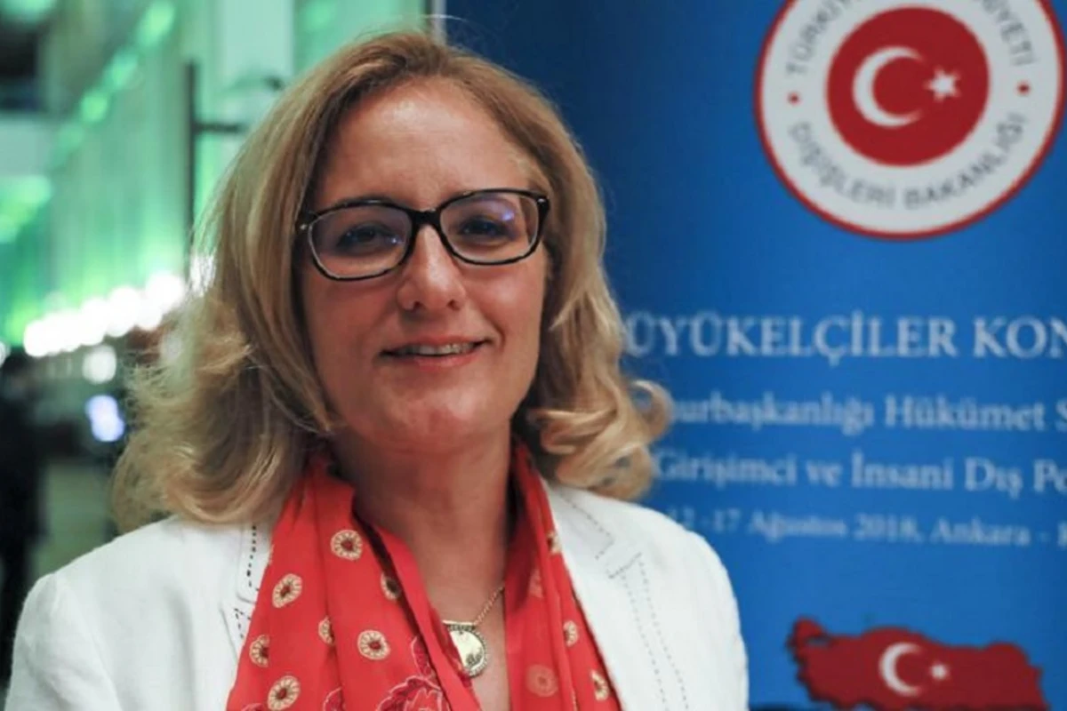 Türkiyənin Gürcüstandakı səfiri Sarkisyanın təxribatına cavab verdi - FOTO