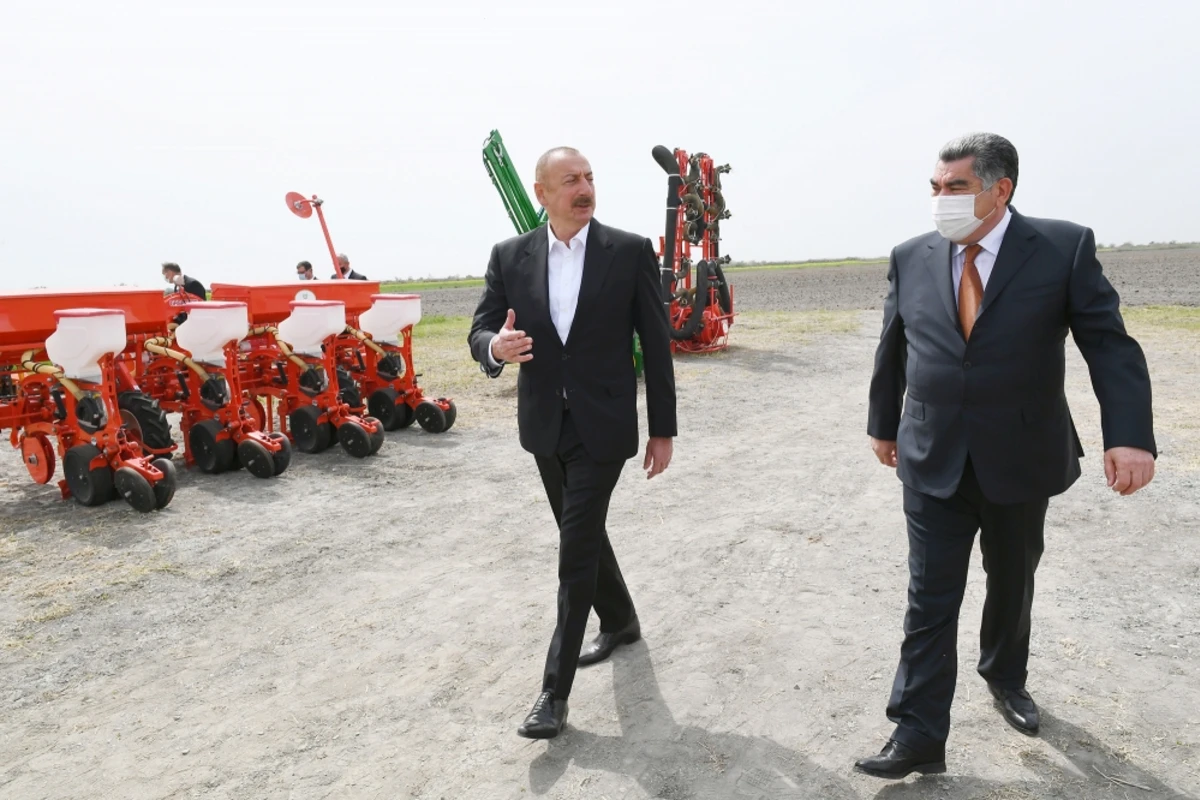 Prezident Hacıqabulda fermer Elşən Xəlilovun pambıq tarlasında səpin prosesini izləyib - FOTO/VİDEO Prezident Hacıqabulda fermer Elşən Xəlilovun pambıq tarlasında səpin prosesini izləyib - FOTO/VİDEO