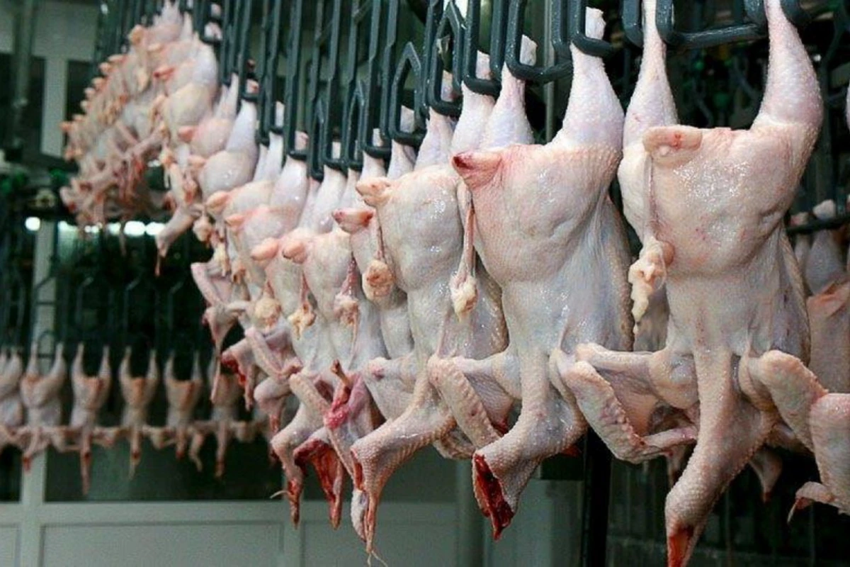 Азербайджан ограничил импорт мясной продукции из пяти стран