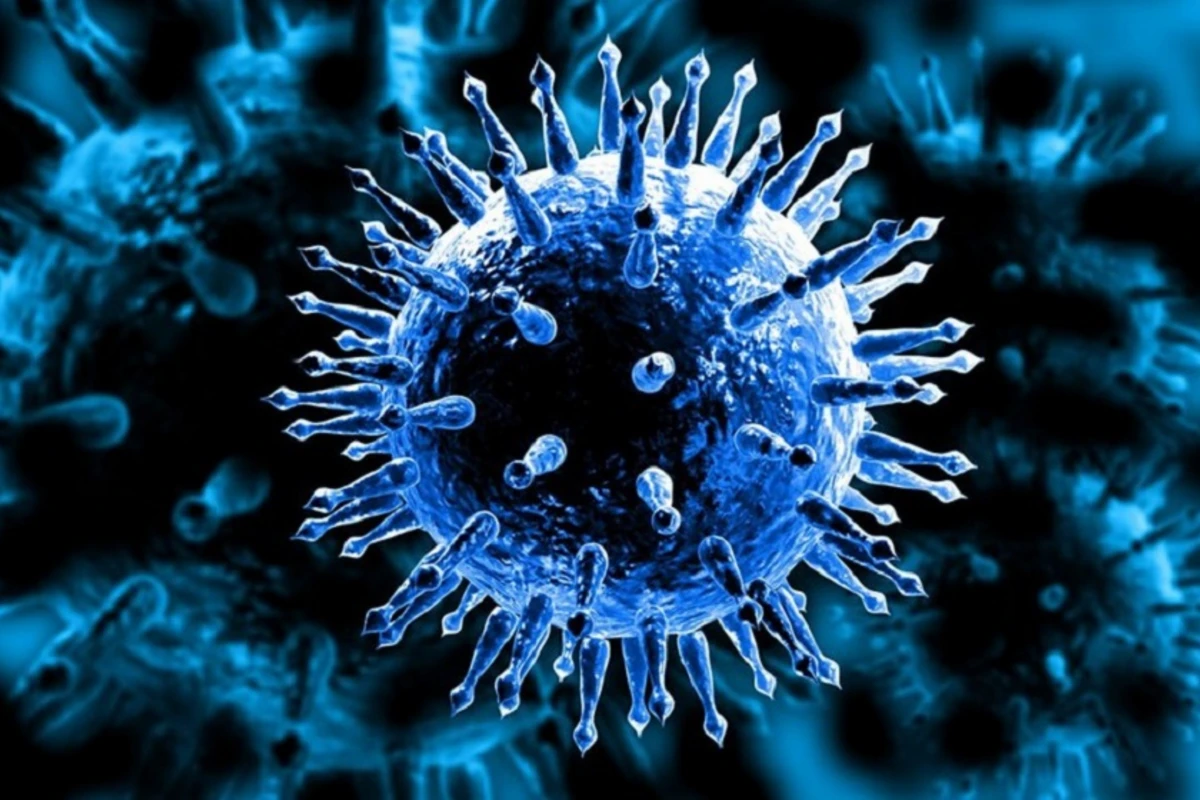 Koronavirus beyinə necə təsir edir? - ARAŞDIRMA Koronavirus beyinə necə təsir edir? - ARAŞDIRMA