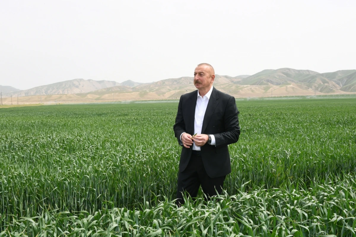 Regionların inkişafında yeni mərhələ: Yerli əhali iş yerləri ilə təmin ediləcək Regionların inkişafında yeni mərhələ: Yerli əhali iş yerləri ilə təmin ediləcək