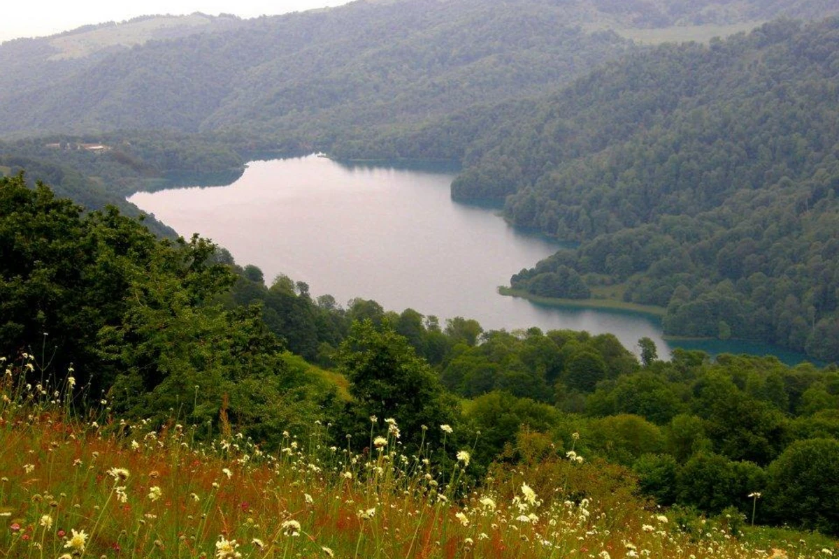 Azərbaycanın milli parklarından yaz görüntüləri - FOTO