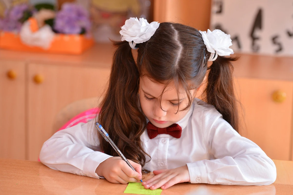 Təhsil Nazirliyinin rəsmisindən valideynlərə ÇAĞIRIŞ