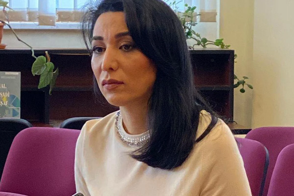 Ombudsman beynəlxalq təşkilatlara çağırış edib Ombudsman beynəlxalq təşkilatlara çağırış edib