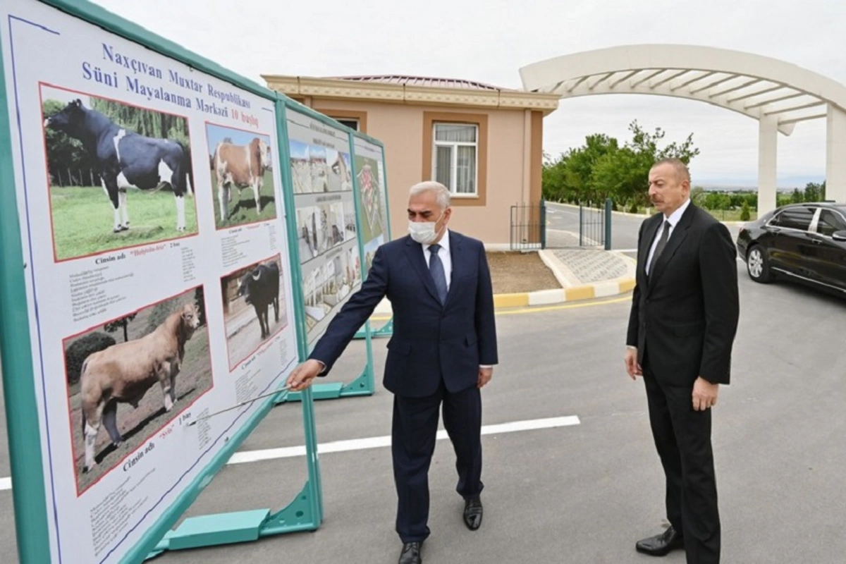 Naxçıvanda Süni Mayalanma Mərkəzi istifadəyə verildi - FOTO