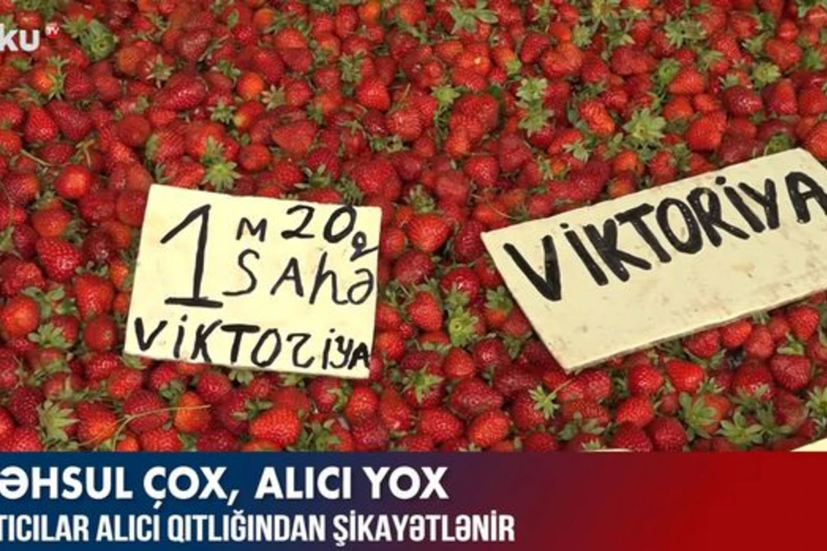 Bazarda satıcılar alıcı qıtlığından şikayətlənir - VİDEO