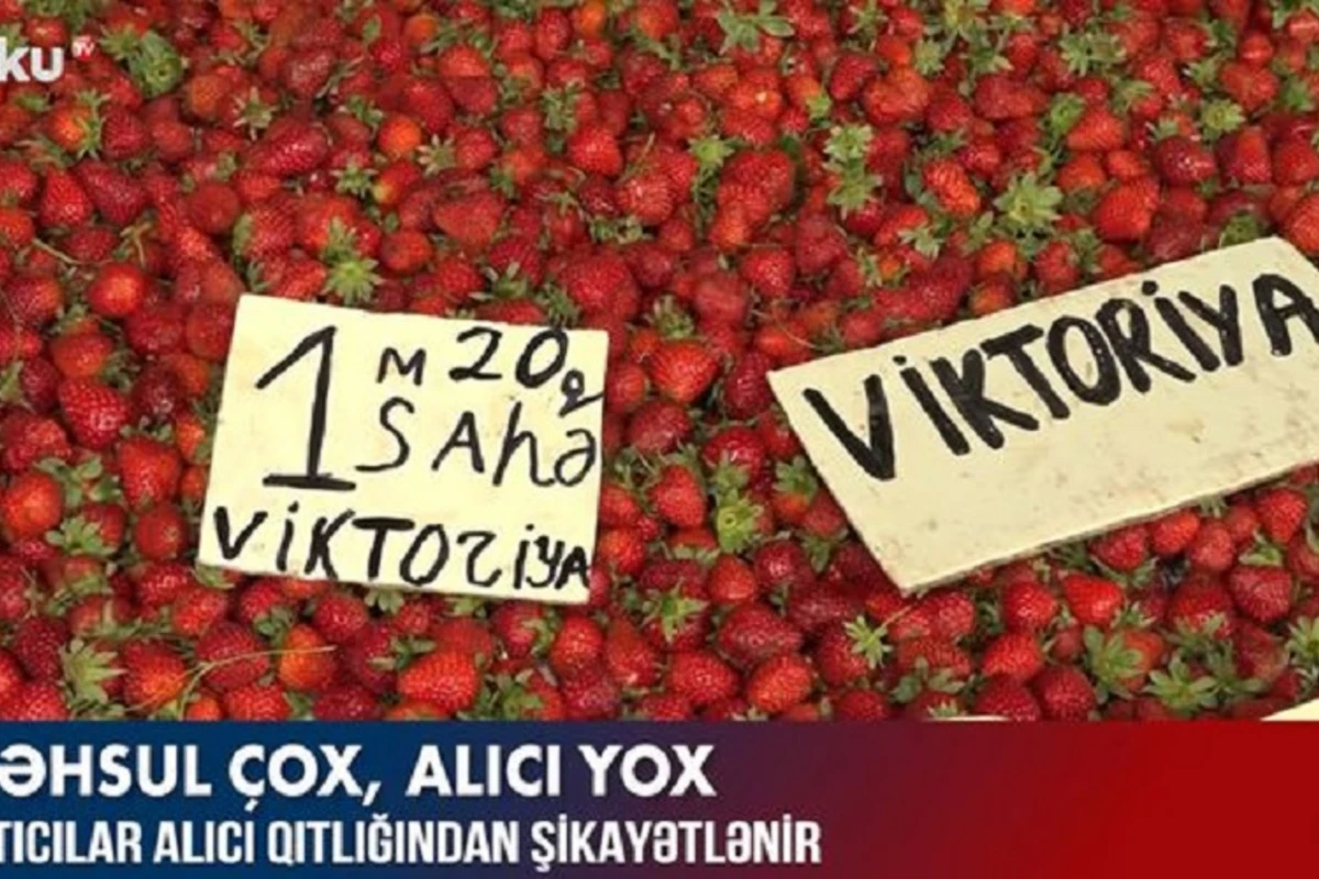 Продавцы на рынках жалуются на отсутствие покупателей - ВИДЕО
