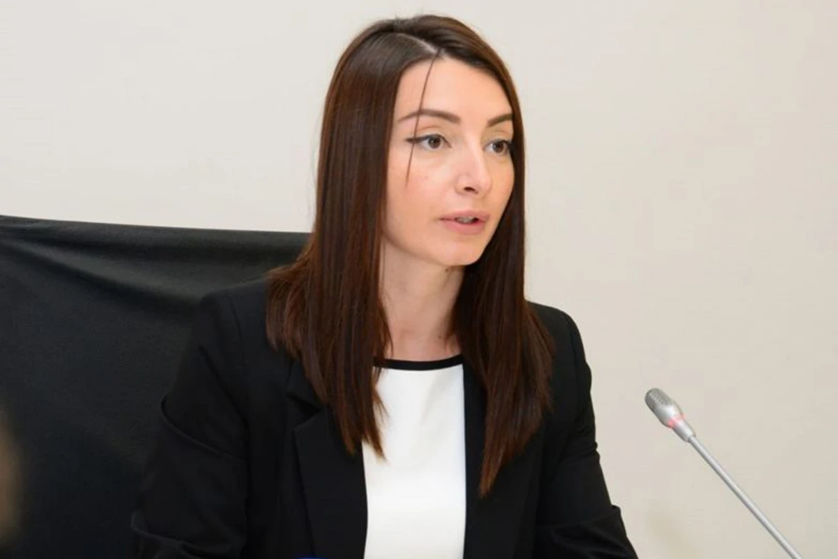МИД АР внес ясность в ситуацию по поводу напряженности на армяно-азербайджанской границе