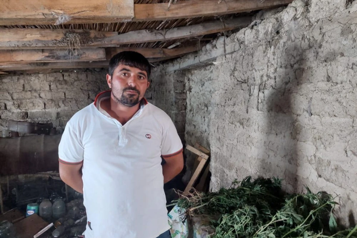 İstixanada narkotik yetişdirən şəxs tutuldu - FOTO