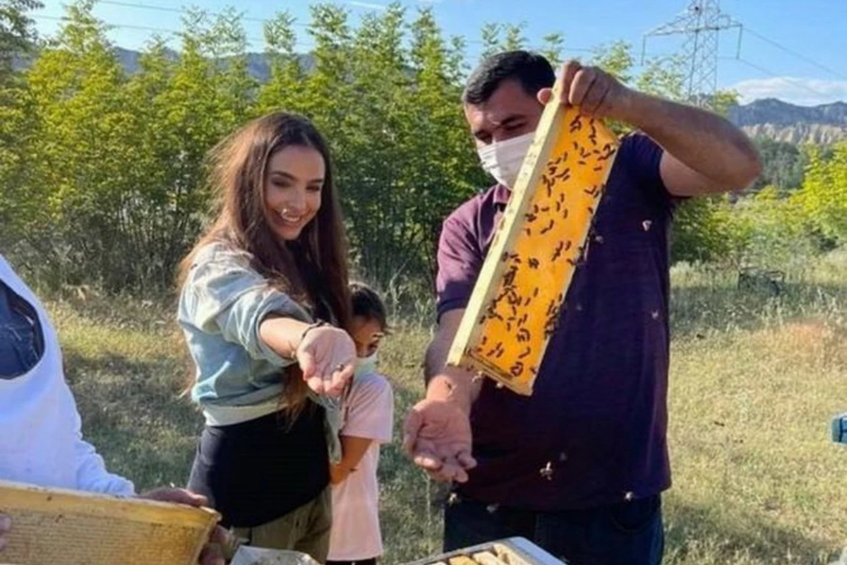 Лейла Алиева поделилась публикацией о пчеловодах из села Савалан  - ФОТО