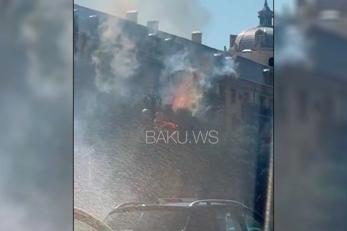 Bakıda ağaclar yanır - VİDEO