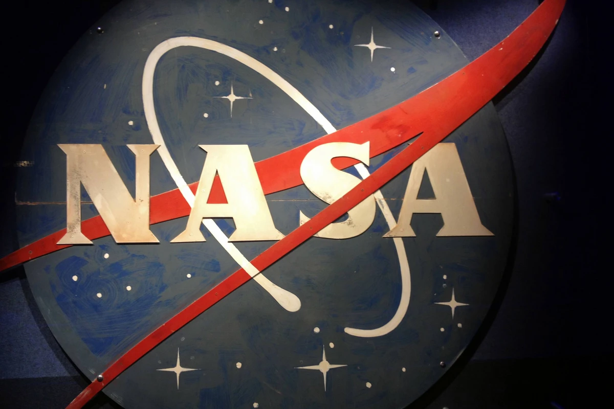NASA отправит на МКС светящихся кальмаров