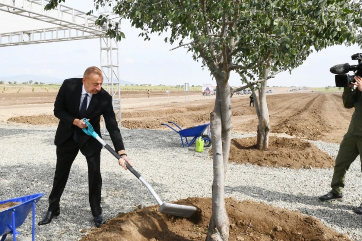 Prezident Ağdam şəhər meşə-parkında ağac əkib