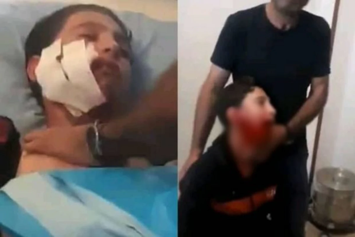 В Азербайджане стая волков атаковала школьников - ВИДЕО