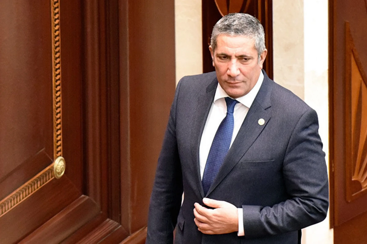 Siyavuş Novruzov icra başçılarını tənqid etdi: “Gələn kimi deyir ki, ərizəni yaz, get” - VİDEO