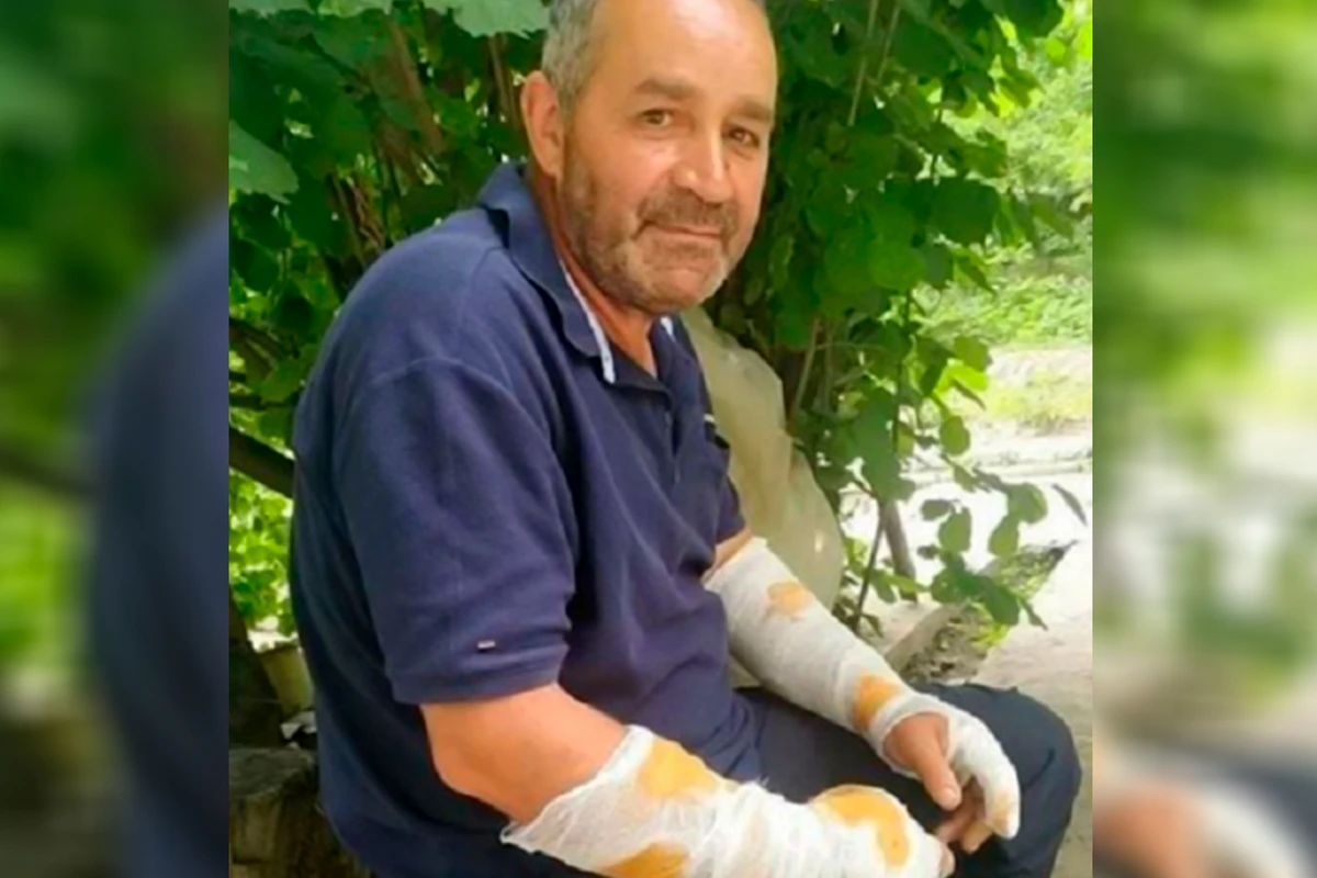 Canavarı boğaraq insanları xilas edən şəxs: “Qışqırıq səsləri eşitdim...” - VİDEO