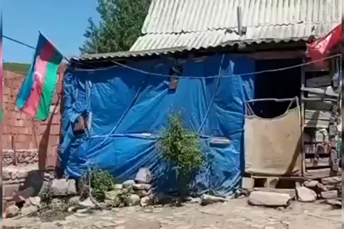Vətən müharibəsi şəhidinin ailəsi çətin vəziyyətdə yaşayır - VİDEO
