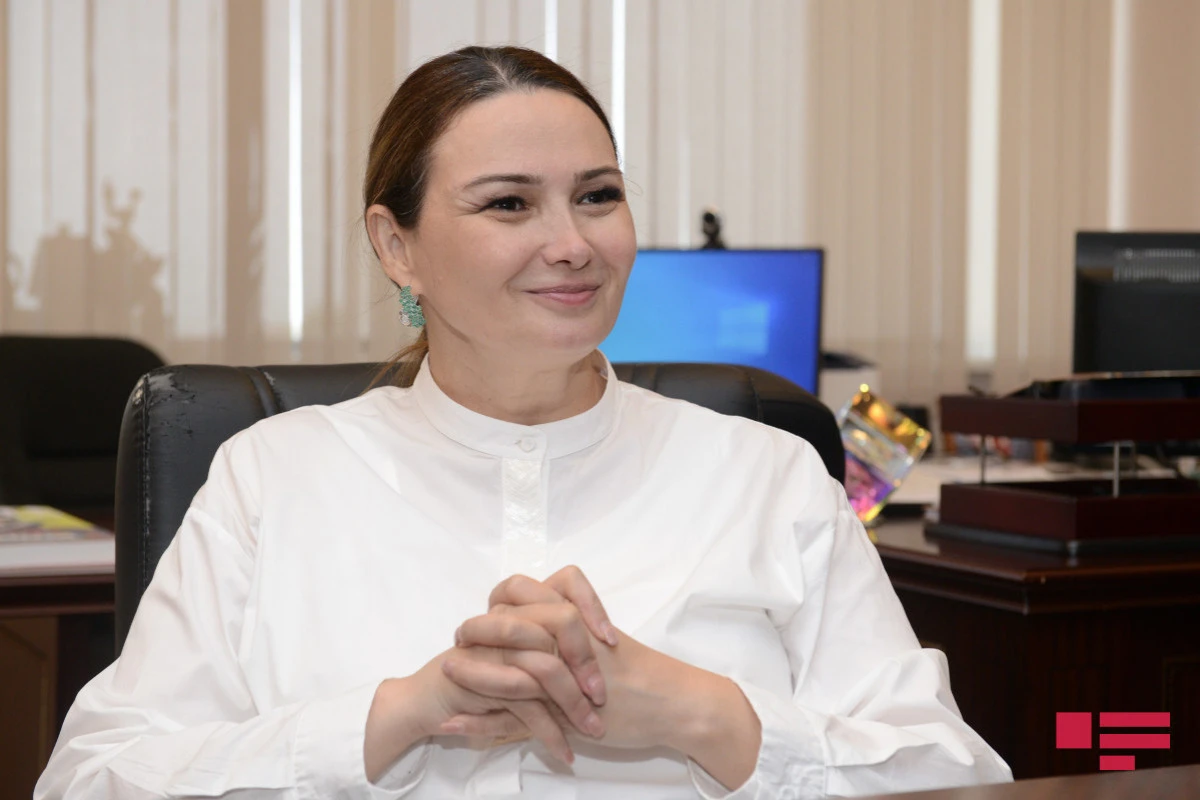 Депутат призвала AZAL пересмотреть цены на авиабилеты