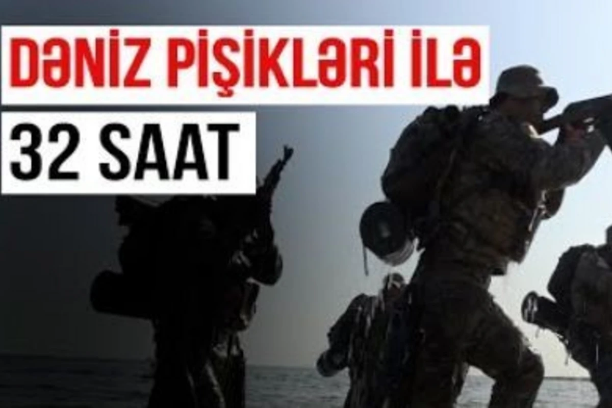 “Qarabağ Xronikası”: “Dəniz pişikləri ilə 32 saat” – VİDEO “Qarabağ Xronikası”: “Dəniz pişikləri ilə 32 saat” – VİDEO