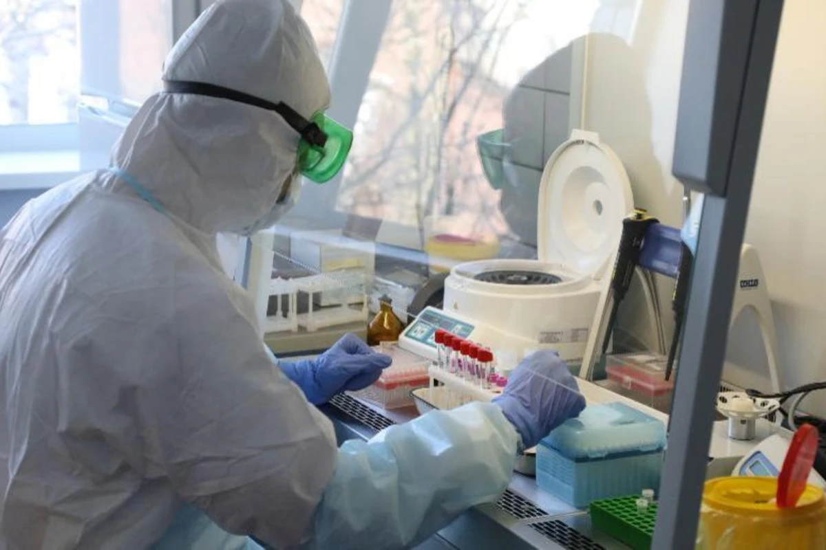 В Индии более 40 тысяч новых случаев заражения черной плесенью